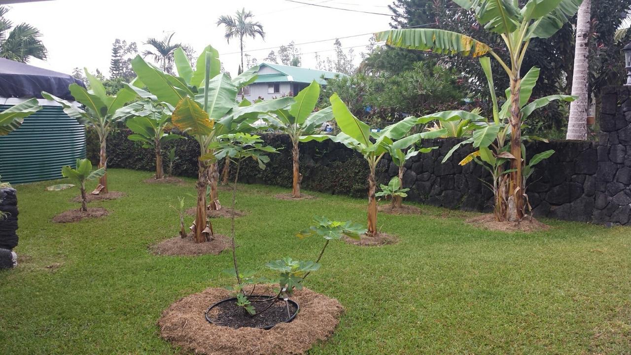 Robbrecht Troost Pottery Villa Pahoa ภายนอก รูปภาพ